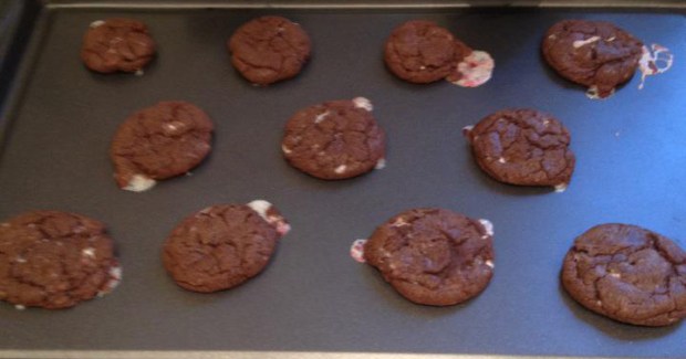 388949_2451305716134_1209972922_n_edited